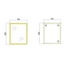 Дзеркало настінне Zerix FONTE MRZ09-60x85-Reverse GOLD прямокутне в золотій рамі