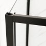 Душова кабіна без піддону Mixxus Premium DIVERSE SC03-100x80x195-TR Black прозоре скло 6мм
