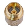 Клапан зворотній ГШ Waterpro WP301-25 - 1